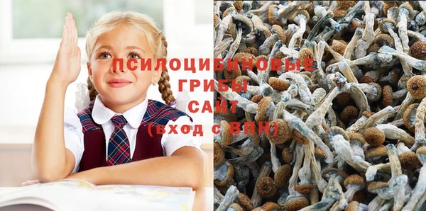 марки lsd Алзамай