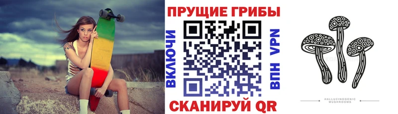 наркота  Перевоз  Псилоцибиновые грибы мухоморы 